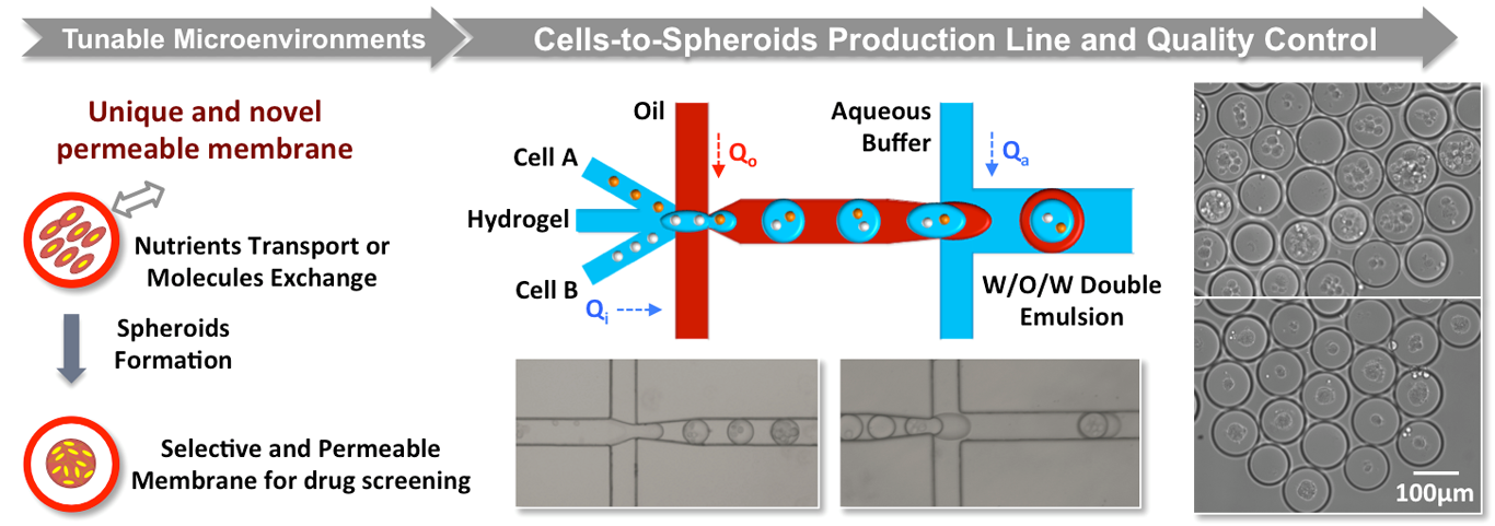 Cell Manipulation and Analysis